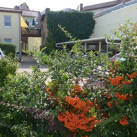 Guest house Hotel-pension Mandy 4*