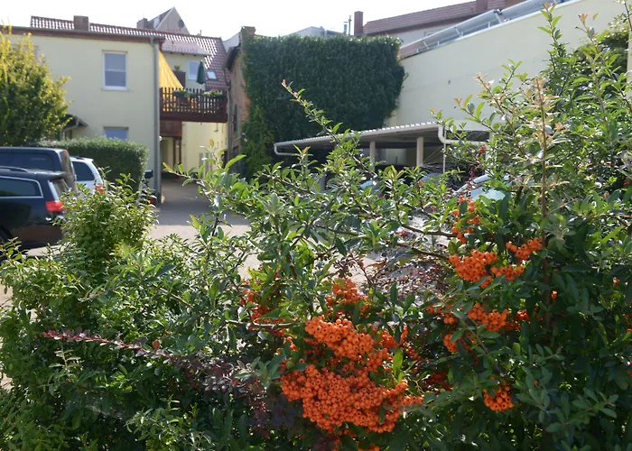 Hotel-pension Mandy - Adults Only 4* Senftenberg